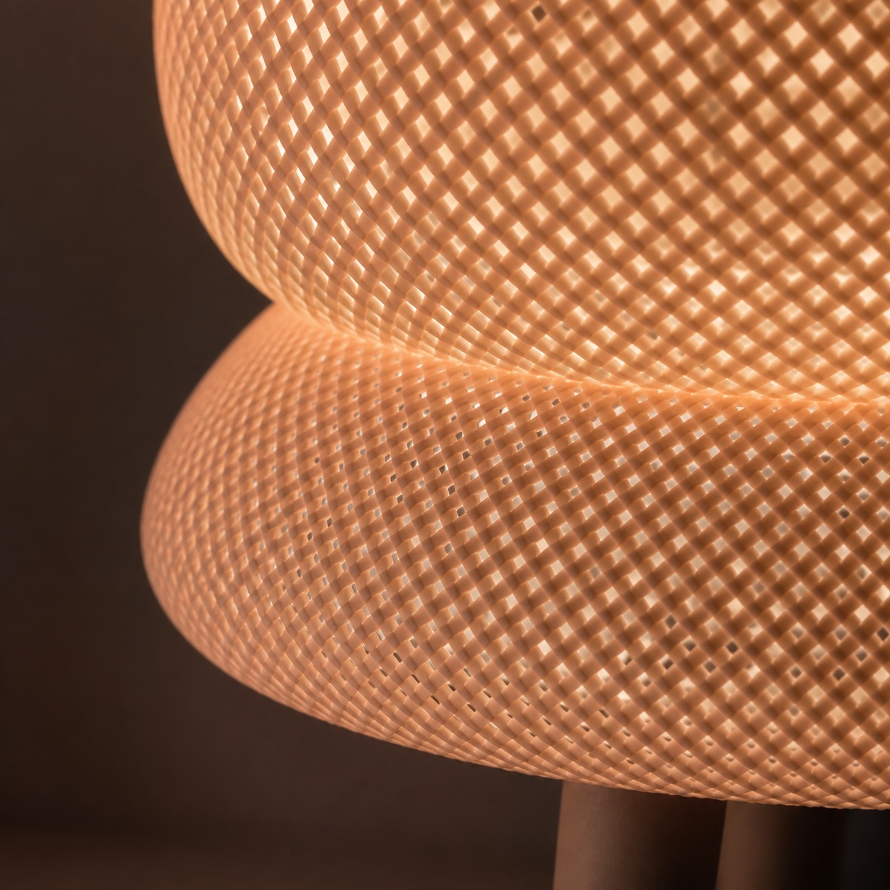 Luz Órbita - Image 3