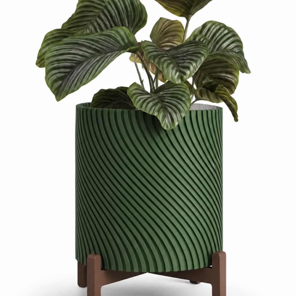 Maceta Boreal - Image 3