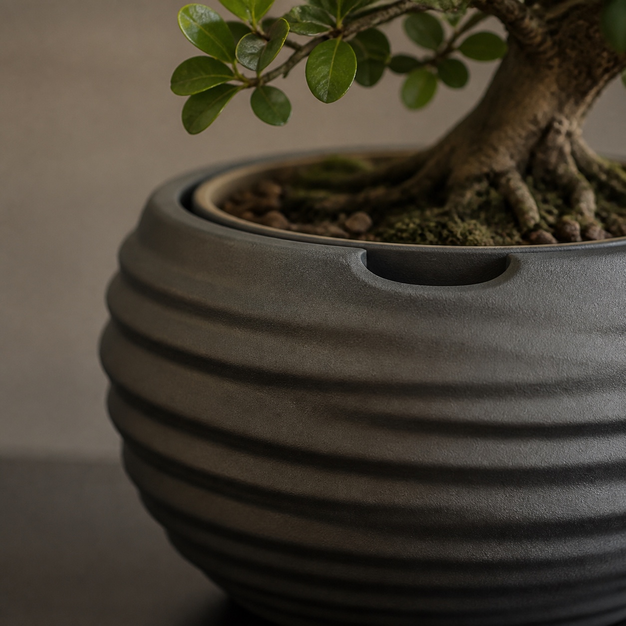 Maceta Raku - Image 3